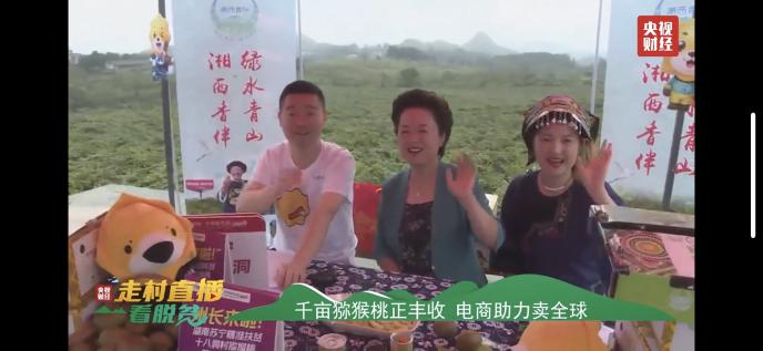 猕猴桃化身“金果果” 央视直播走进十八洞村