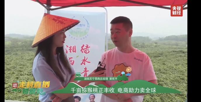 猕猴桃化身“金果果” 央视直播走进十八洞村