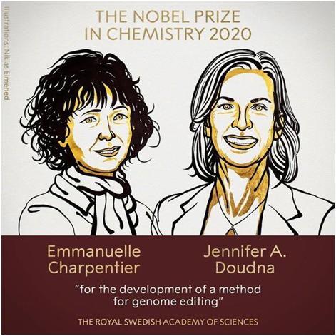 第一次，诺贝尔化学奖授予两位女科学家！她们做了一把锐利的