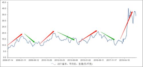 13岁的“猪坚强”：周期与轮回