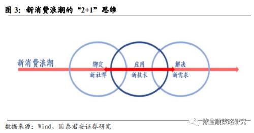 国君策略 | 势不可挡的新消费浪潮