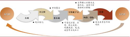 中金：顺应时代趋势，掘金可降解塑料产业投资机会