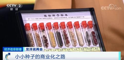 中国粮，用中国种！