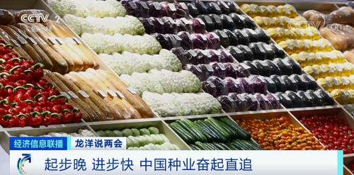 中国粮，用中国种！