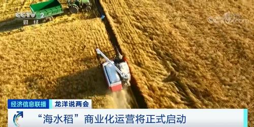 中国粮，用中国种！