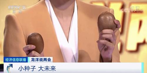 中国粮，用中国种！