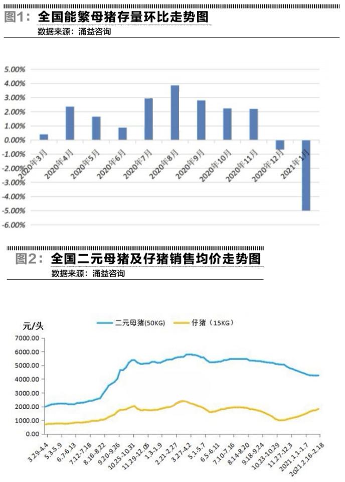 最强猪周期会不会演化成最长猪周期？