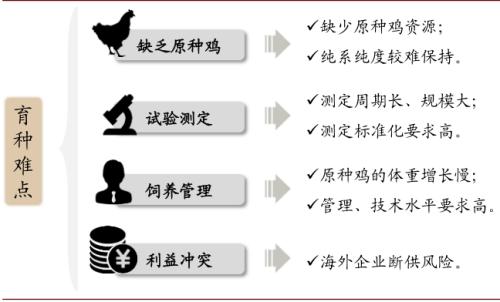 中金 | 粮食安全：粮安天下，创新护航长期发展