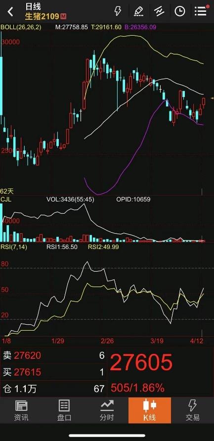 猪肉降价，吃肉自由！新一轮“猪周期”价格拐点，还会来吗