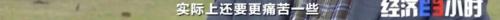 8个品种本土种猪灭绝！我们餐桌多为“外来猪”？！本土“二师兄”去哪了？