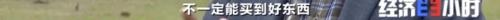 8个品种本土种猪灭绝！我们餐桌多为“外来猪”？！本土“二师兄”去哪了？